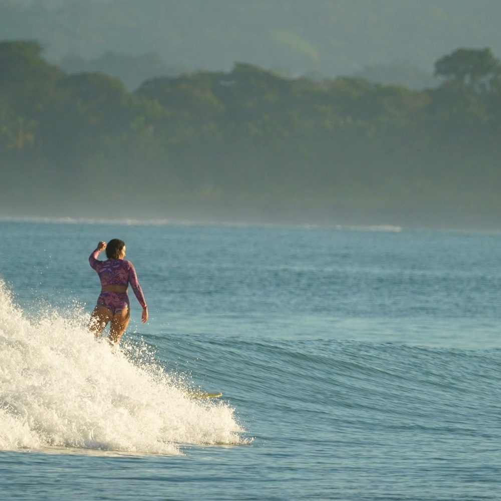 Meet your Posher, Wynn